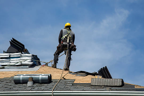Professional Roofing technician working in Palatine, IL